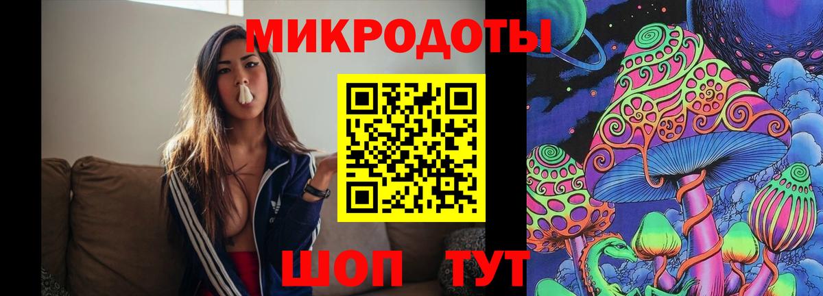 Псилоцибиновые грибы Cubensis Кунгур
